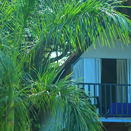 Ripples Service Villas-3